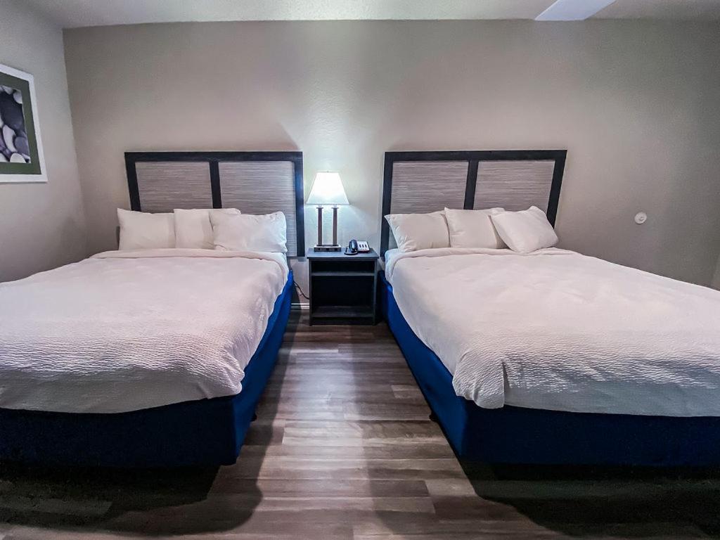 Salt Creek Lodge Graham Ngoại thất bức ảnh